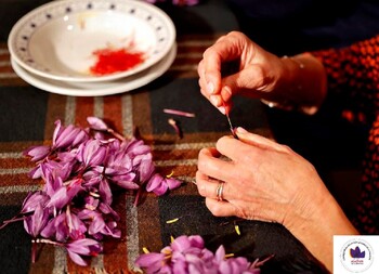 Tradición y buen hacer con Campo y Alma