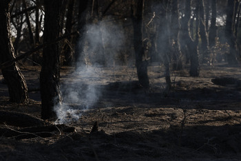 La evolución del fuego de Méntrida es buena y está perimetrado