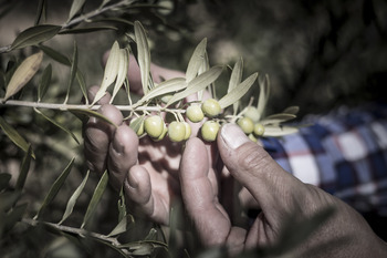 La guerra arancelaria podría acelerar el acuerdo con Mercosur