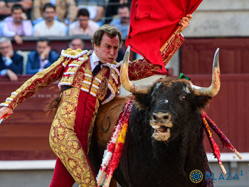 Dos Romanes y Curro contra el genio