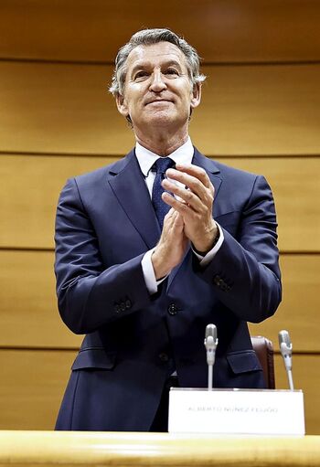 El PP lleva al Constitucional el veto del Congreso a sus leyes