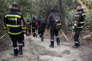 Hallan 50 jabalíes muertos en Collserola por la peste porcina