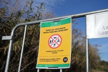 Registran el laboratorio investigado por la peste porcina