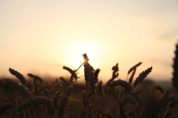 El Ministerio hace poco, pero al menos promete