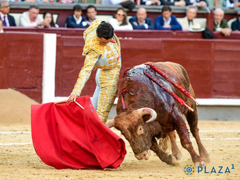 Torear para (casi) nadie