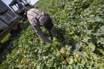 Una argucia de la UE para perpetuar el acuerdo con Marruecos