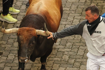 Los Fuente Ymbro siembran el caos en el primer encierro