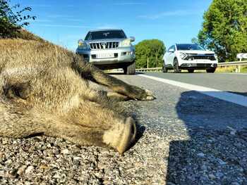 El tercer pilar del mundo rural