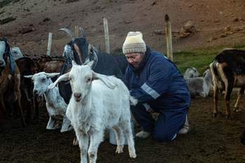 Octubre destaca como el mes de las mujeres rurales