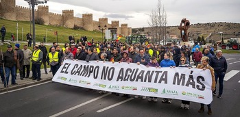 Representatividad agraria: debate permanente