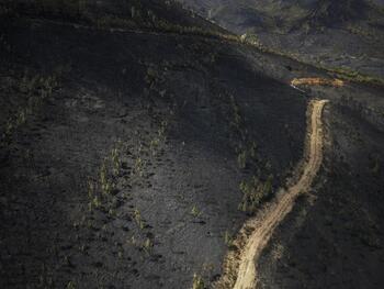 Estabilizado el mayor incendio de la historia de Galicia