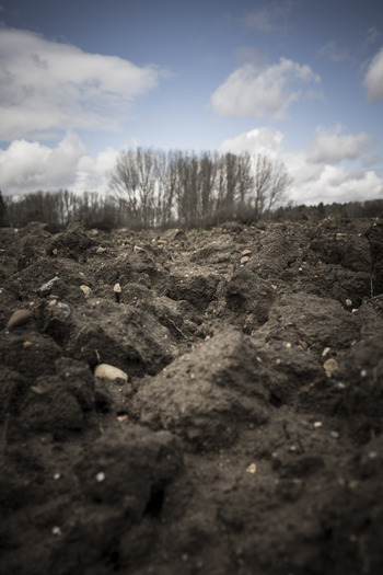 Producción alimentaria bajo amenazas