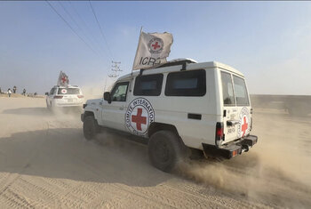 Israel entrega los cadáveres de otros 15 palestinos