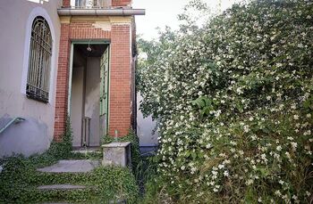 Viaje al corazón de Vicente Aleixandre