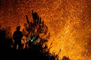 Se elevan a 48 los detenidos por los incendios forestales