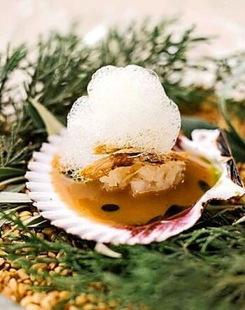 Raíces de la tierra en el Coto de Quevedo