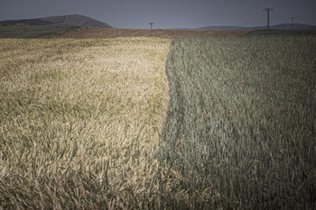 La tierra agraria se mueve