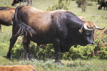 Los agricultores mejoran su posición en la cadena alimentaria