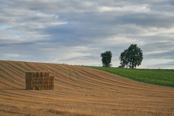 Las ayudas directas de la PAC en España llegan a 5.091 millones