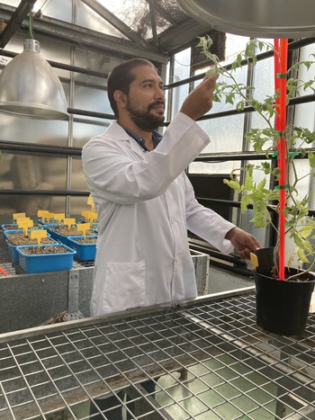 Consenso histórico sobre edición genética