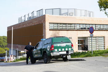 La Generalitat investiga el origen de la peste porcina