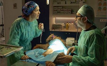 Las grandes estrellas llegan a Movistar