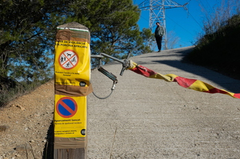 Un embutido contaminado pudo ser el origen de la peste porcina