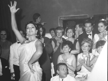 Zarpazos de libertad