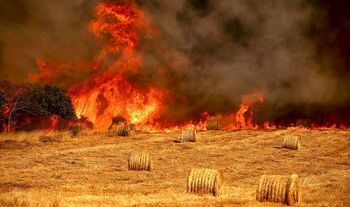 El fuego arrasa el 9% de la superficie agraria