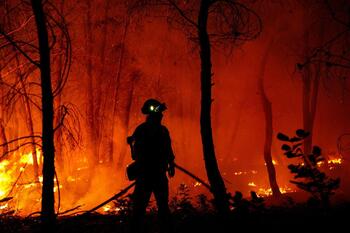 Grecia solicita ayuda europea para combatir los incendios