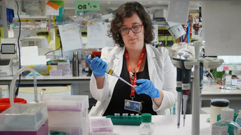 Una terapia logra rejuvenecer las células madre de la sangre