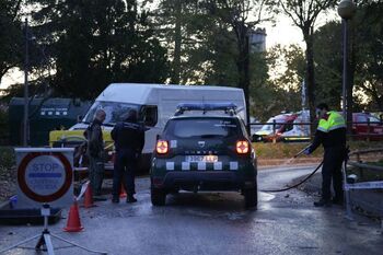 Suben a 27 los casos de peste porcina tras un nuevo positivo