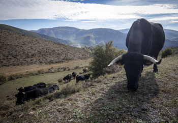 Las explotaciones familiares, esenciales para la conservación