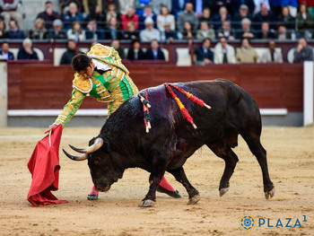No hay color