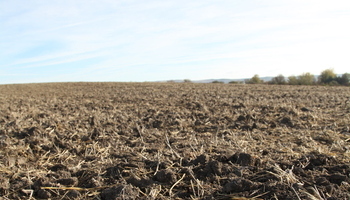 La tierra rústica es  un mercado al alza