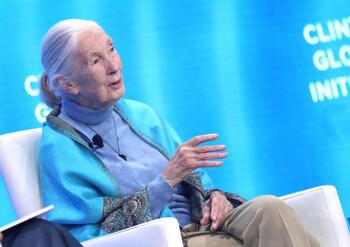 Muere a los 91 años la etóloga británica Jane Goodall