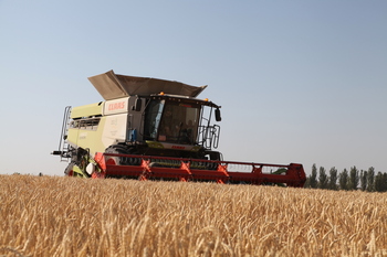 Campaña histórica, futuro incierto