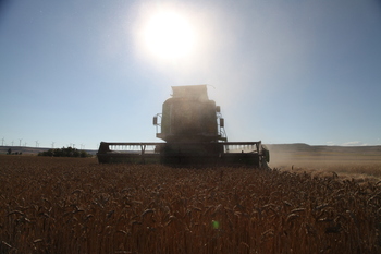 Los cerealistas no se callan