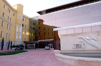 El CNIO logra eliminar tumores de páncreas en ratones