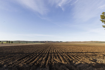 El Gobierno movilizará 17.000 fincas para favorecer el relevo