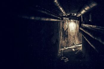 Una obra de ingeniería al servicio del ‘narco’