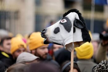 Los agricultores europeos claman contra el acuerdo de Mercosur