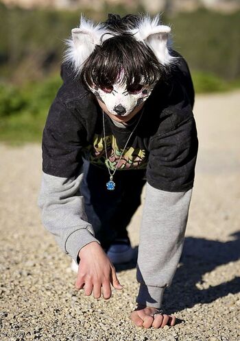 'Therian', el nuevo fenómeno viral