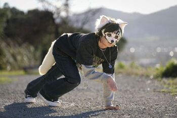 El fenómeno 'therian' llega a España