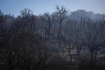 Estabilizan el incendio de la Bisbal d'Empordà