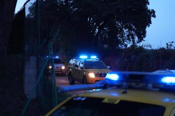 Detectan 13 nuevos casos de peste porcina