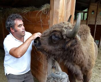 El hombre que amaba a los bisontes