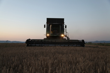 Secuestro de carbono: oportunidad…  con trampa