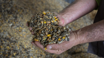 El sector pide apoyo y plantea medidas