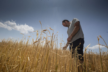 2025 fue el segundo año con más siniestralidad de la historia